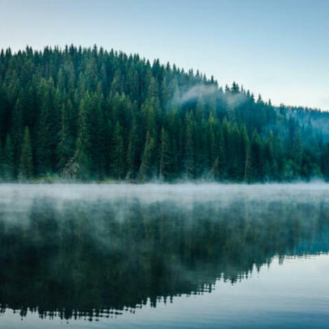 My Father Once Told Me