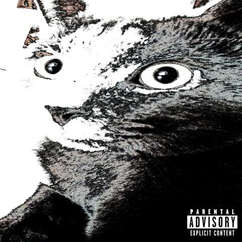 antihybrid