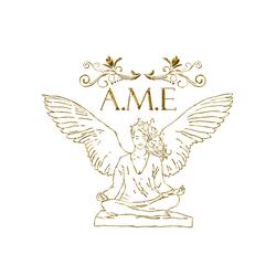 La Voix de l'A.M.E / Les émotions