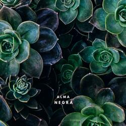 STAAAAP (Radio Edit)