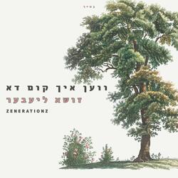 ווען איך קום דא