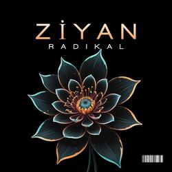 Ziyan