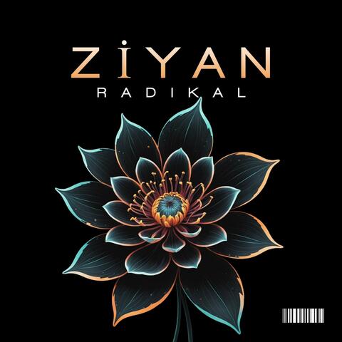 Ziyan