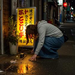 Japanese MeltDown 27