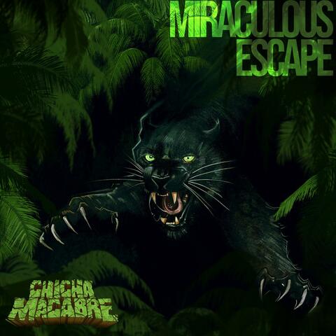 Miraculous Escape