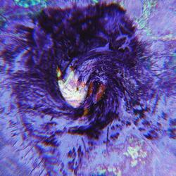 What Do U See In Me?