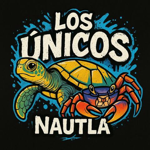 Nautla De Mis Amores