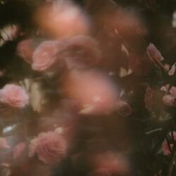 for your kiss (English Version)