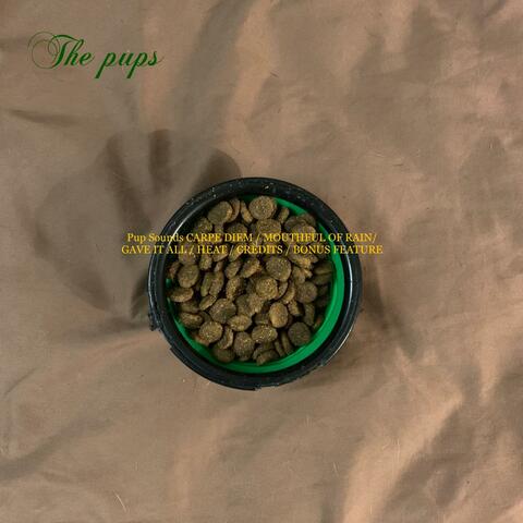 Pup Sounds