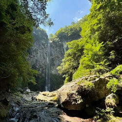 さよなら母さん