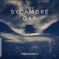 The Sycamore Gap