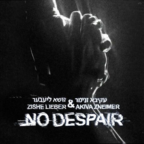 No Despair (feat. Akiva Zneimer)