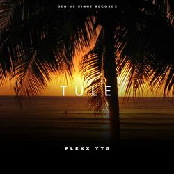 Tule (feat. Flexx YTG)