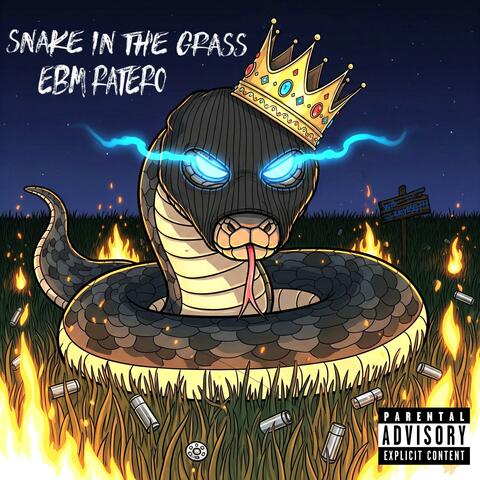 Snake in the grass