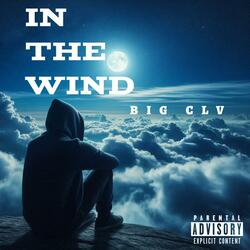 IN THE WIND