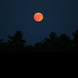 I hope it hurts like hell. (Duet)