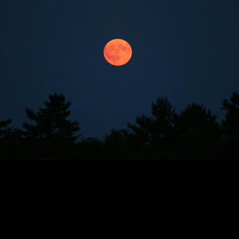 I hope it hurts like hell.