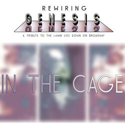 In The Cage