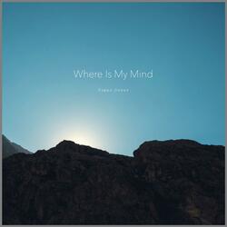 Where Is My Mind