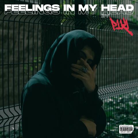 Feelings In My Head