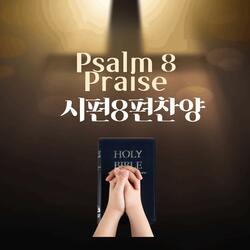 Psalm 8 Praise