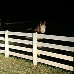 bury us beneath the earth