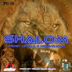SHALOM (feat. DEEAVELIDON)