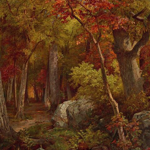 Just Another Disaster