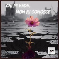 Chi Mi Vede, Non Mi Conosce