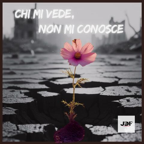 Chi Mi Vede, Non Mi Conosce