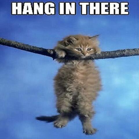 hang in there