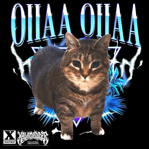 CAT BRAIN ROT TECHNO (O II AA)