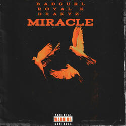 Miracle (feat. BADGIRL Royal & Draykyz)
