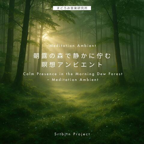 朝露の森で静かに佇む瞑想アンビエント Calm Presence in the Morning Dew Forest – Meditation Ambient