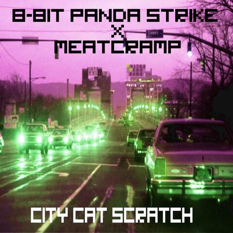 City Cat Scratch