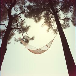 Ha en härlig sommar i Sverige