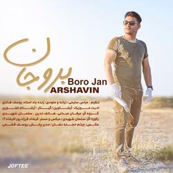 Boro Jan