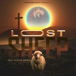 Lost Sheep