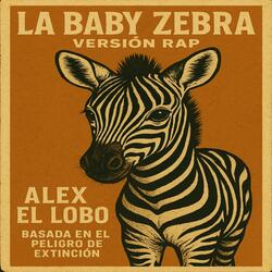 La baby Zebra