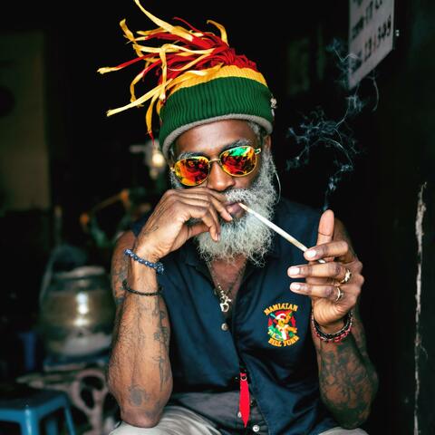 Cricket Inna Di Spliff (feat. Pleenus)