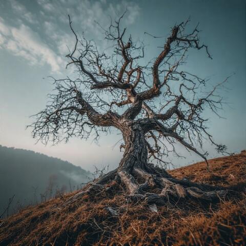 Ashes Still Grow