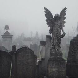 Feel Like Tiji (feat. TheKidTezzy)