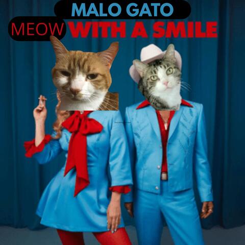 Meow with a Smile
