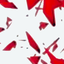 Woman Bad (feat. 7Clow) (Radio Edit)