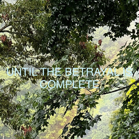 UNTIL THE BETRAYAL IS COMPLETE