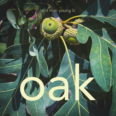 oak