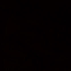 Not a Rapper, Pt. 1 (feat. Bloodyyqwxn)