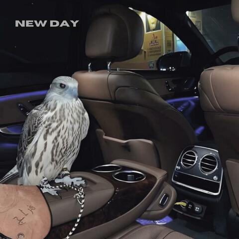 new day