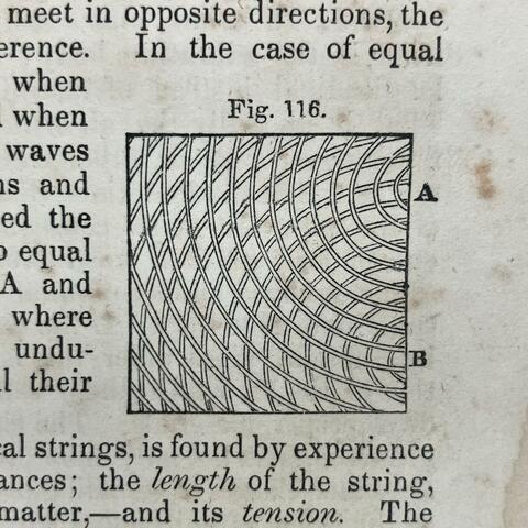 Two Dogs / Too Many Dogs