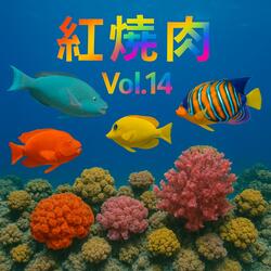 My Hometown Highlands Hot Pot, Vol. 14